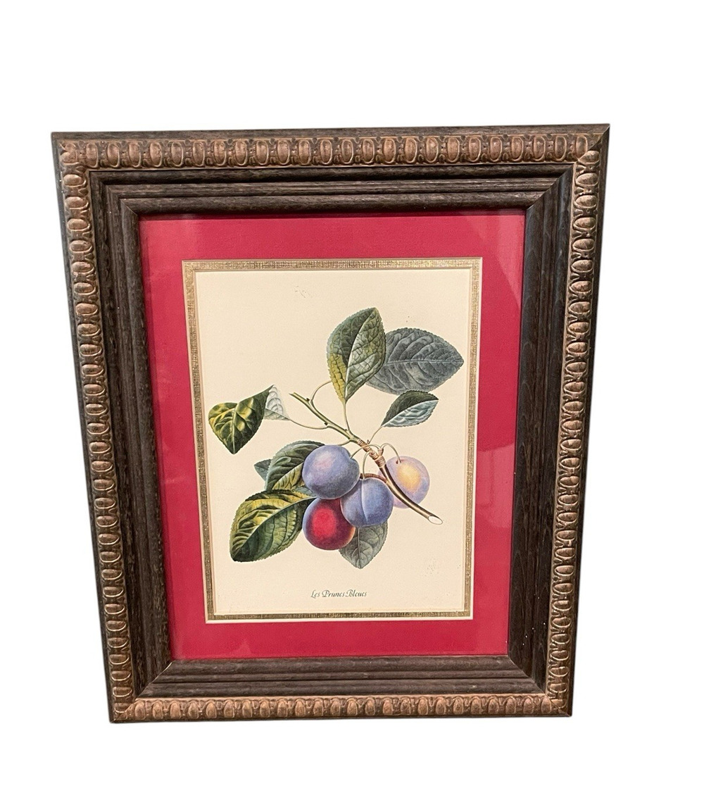 Vintage Prunes Plums Botanical Print Wall Art Framed Art Cottage Core Decor